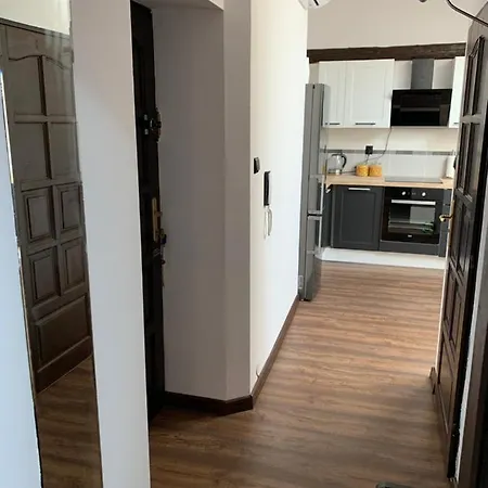 Berek Loft - Old Town Apartment Krakow